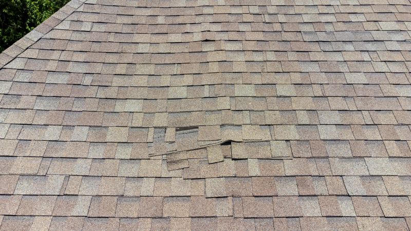 Asphalt Roof Inspection in Morrison, CO