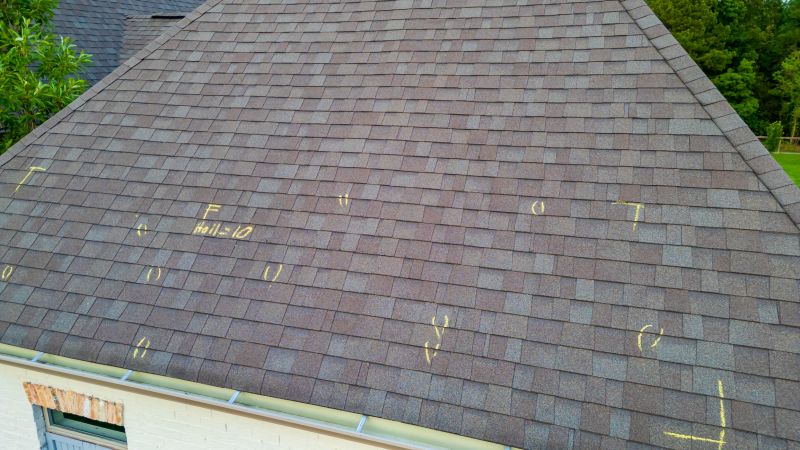 Asphalt Roof Inspection in Nederland, CO