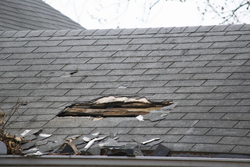 Asphalt Roof Leak Repair in Denver County, CO