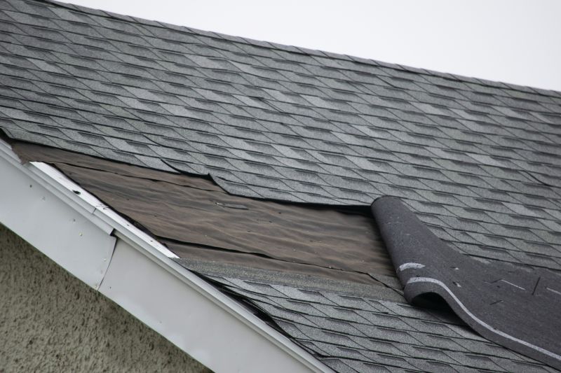 Asphalt Shingles Repair in Louisville, CO