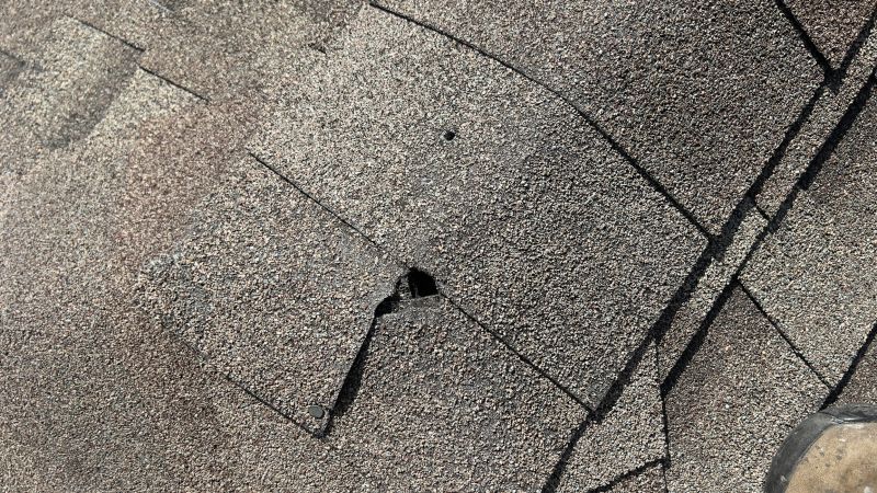 Damaged Roof Repair in Arvada, CO