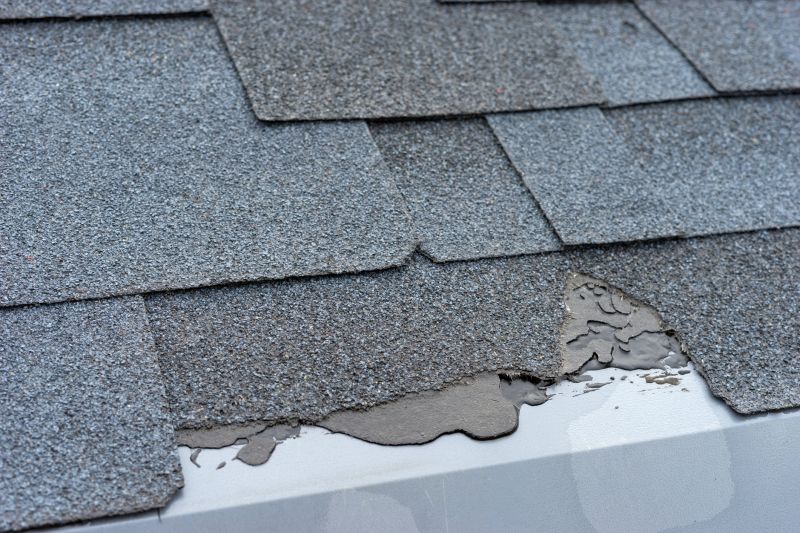 Damaged Roof Repair in Brighton, CO