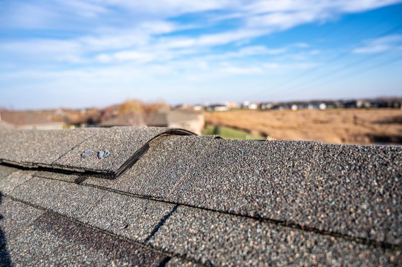Damaged Roof Repair in Westminster, CO