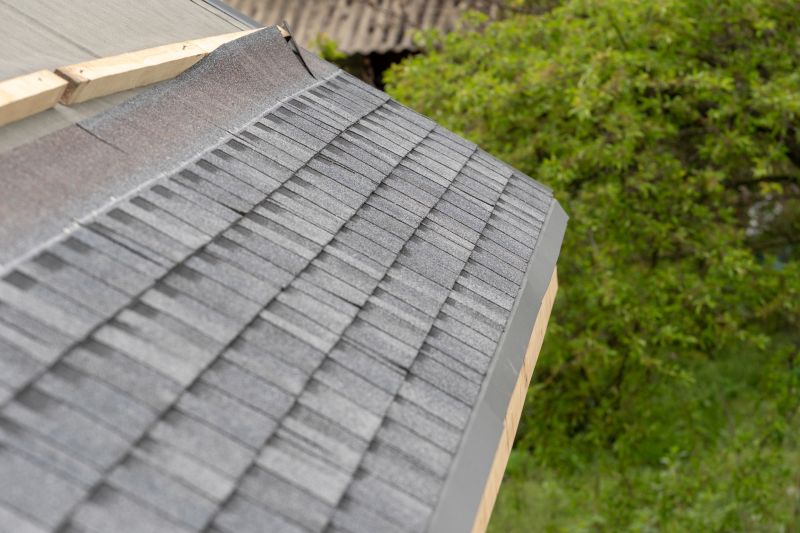 Damaged Roof Repair in Wheat Ridge, CO