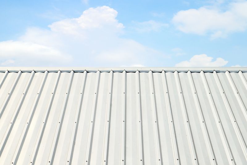 Metal Roof Coating Service in Broomfield, CO