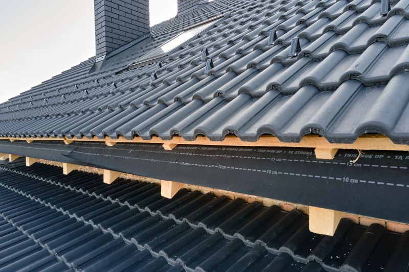 Roof Construction in Lyons, CO