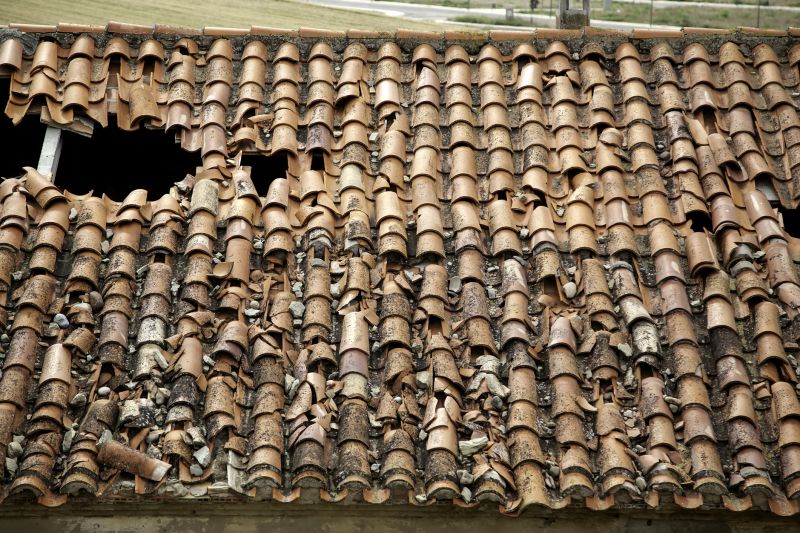 Roof Damage Inspection in Denver County, CO