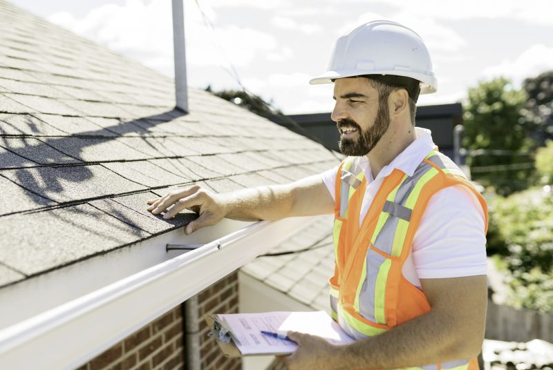 Roofing Evaluation in Nederland, CO