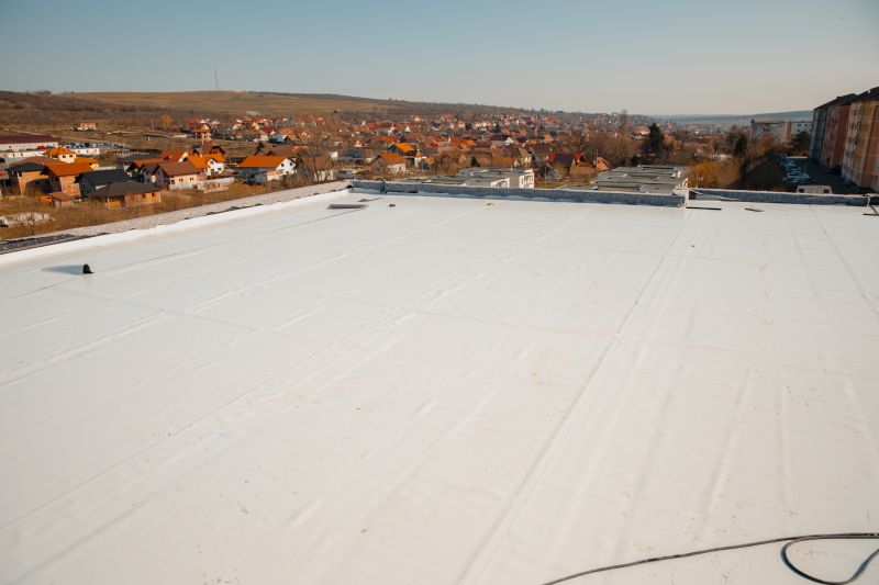 Rubber Roof Repair in Fort Lupton, CO