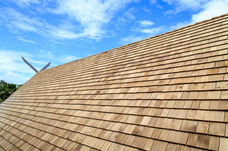 Shake Roof Replacement in Nederland, CO