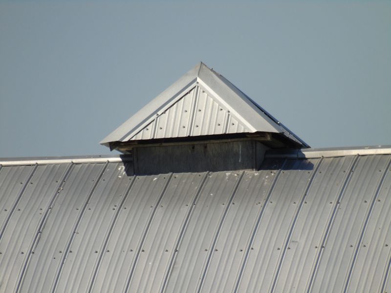 Tin Roof Installation in Denver, CO